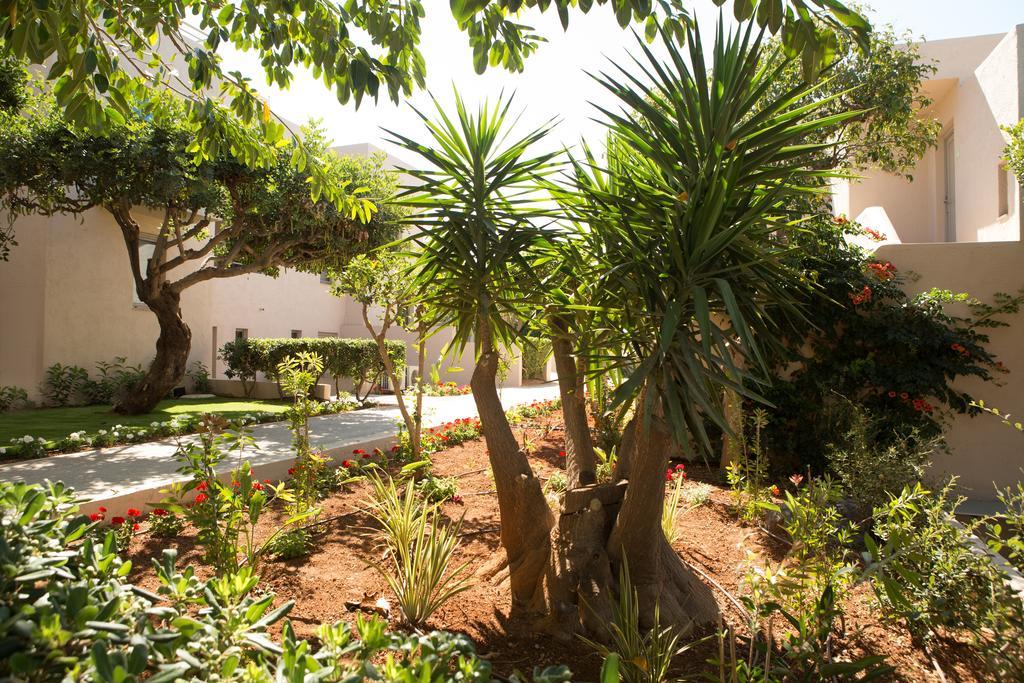 Sundance Apartments & Suites Hersonissos  Eksteriør billede
